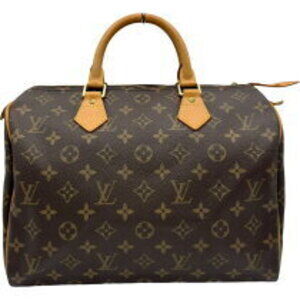 Louis Vuitton Speedy Brown Monogram Handbag
